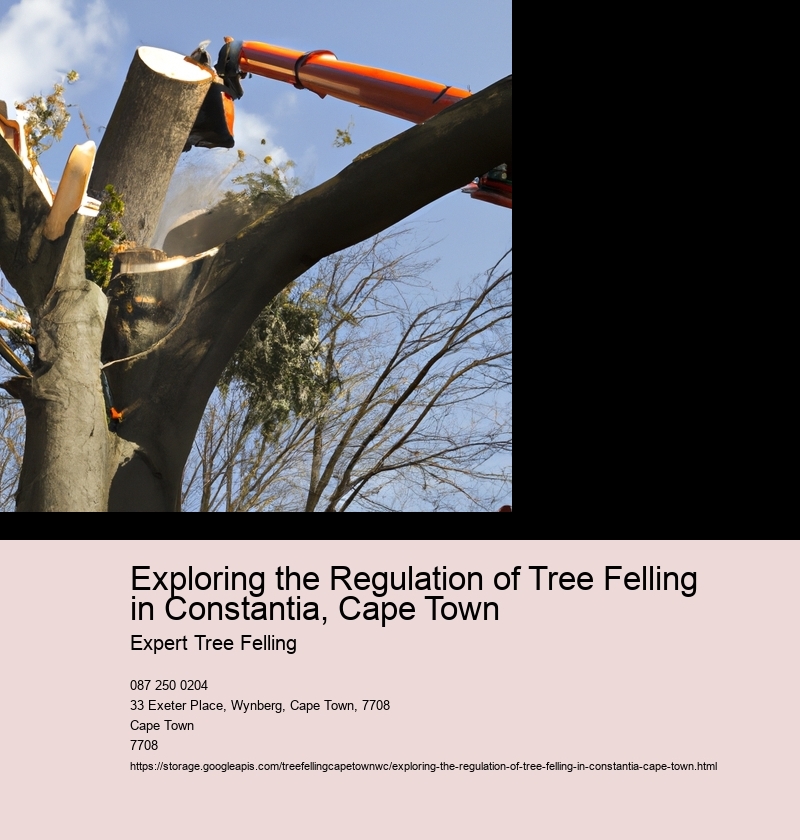 Exploring the Regulation of Tree Felling in Constantia, Cape Town Expert Tree Felling