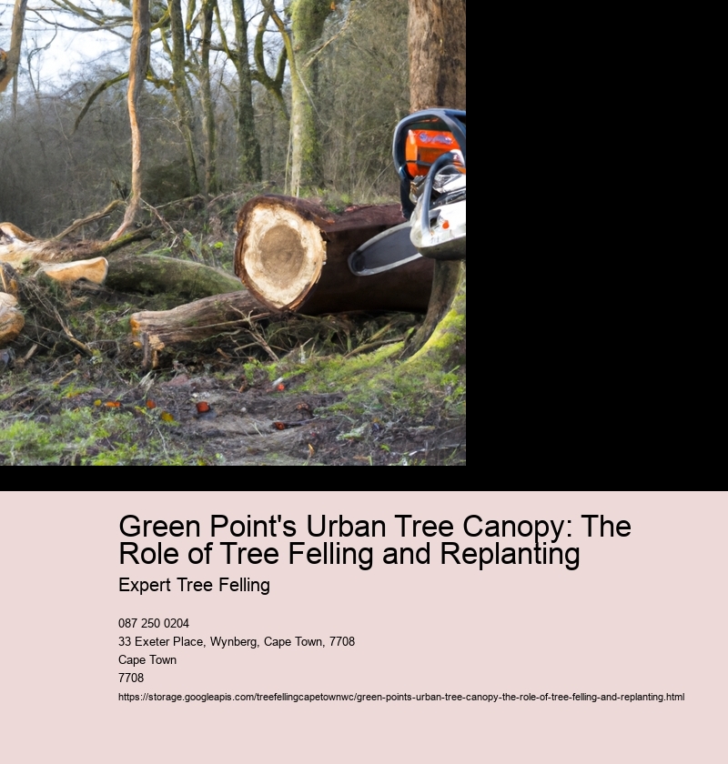 Green Point's Urban Tree Canopy: The Role of Tree Felling and Replanting