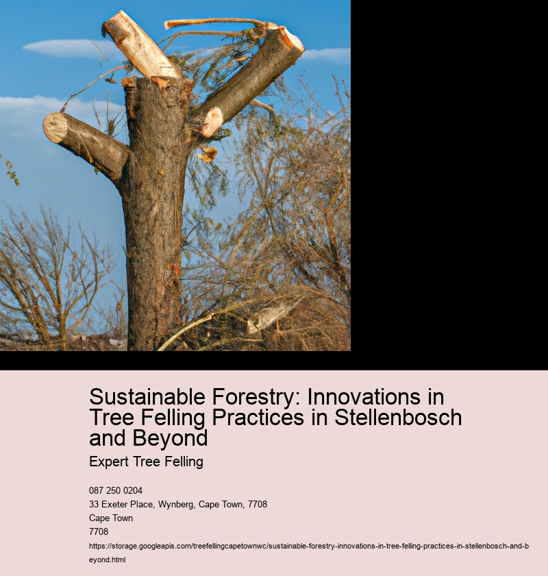 Sustainable Forestry: Innovations in Tree Felling Practices in Stellenbosch and Beyond