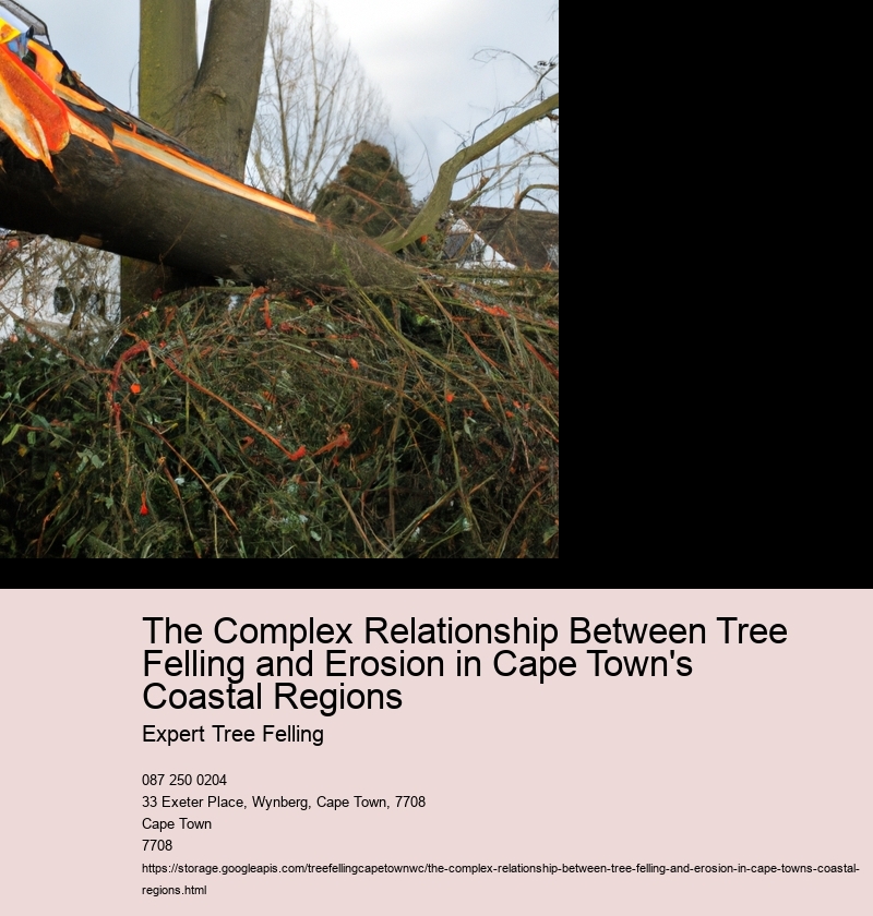 The Complex Relationship Between Tree Felling and Erosion in Cape Town's Coastal Regions Expert Tree Felling The Complex Relationship Between Tree Felling and Erosion in Cape Town's Coastal Regions