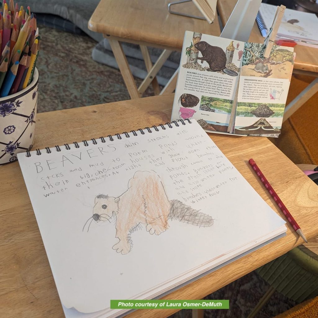sign of the beaver book activities