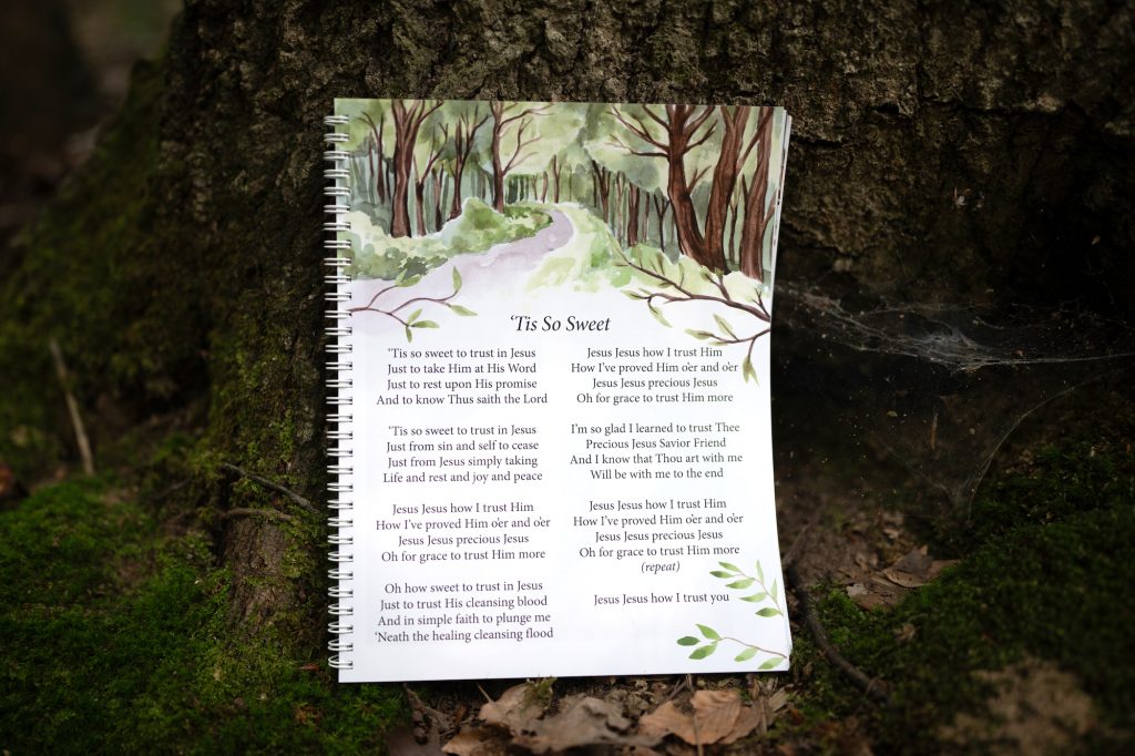 Rooted Family Bible Curriculum