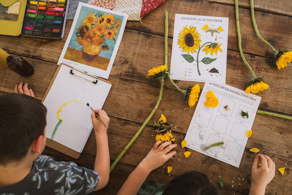 sunflower unit study kids