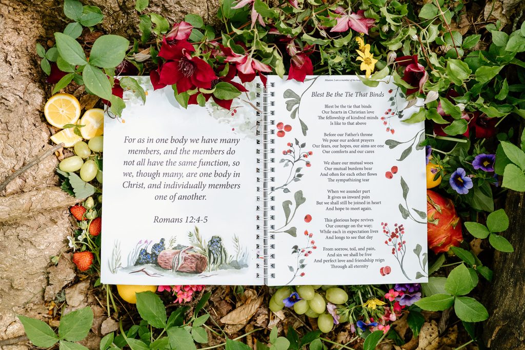 best family bible curriculum kids