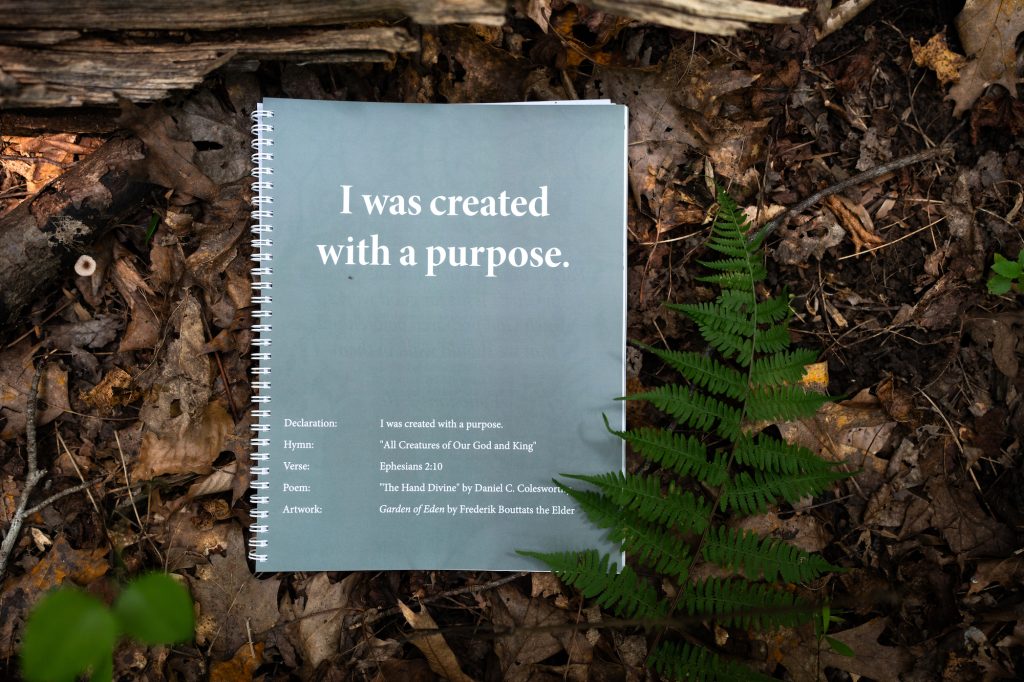 Rooted Family Bible Curriculum