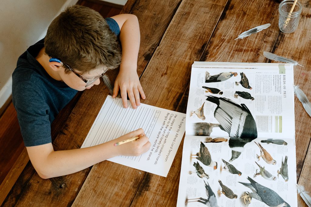 bird watching tips for kids