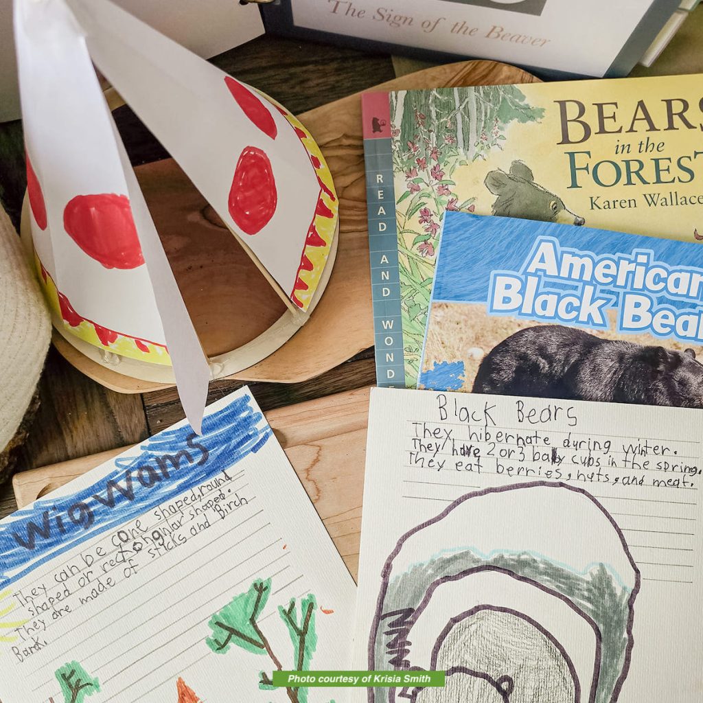 sign of the beaver book activities