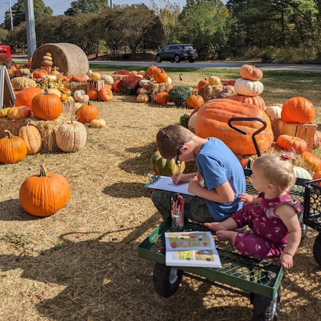 pumpkin