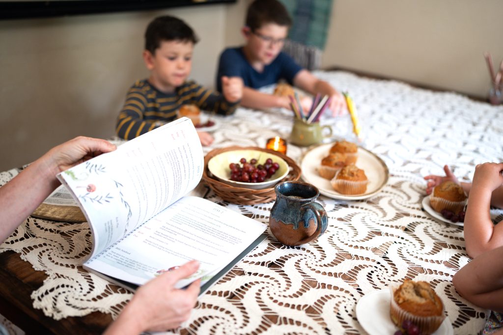 Rooted Family Bible Curriculum