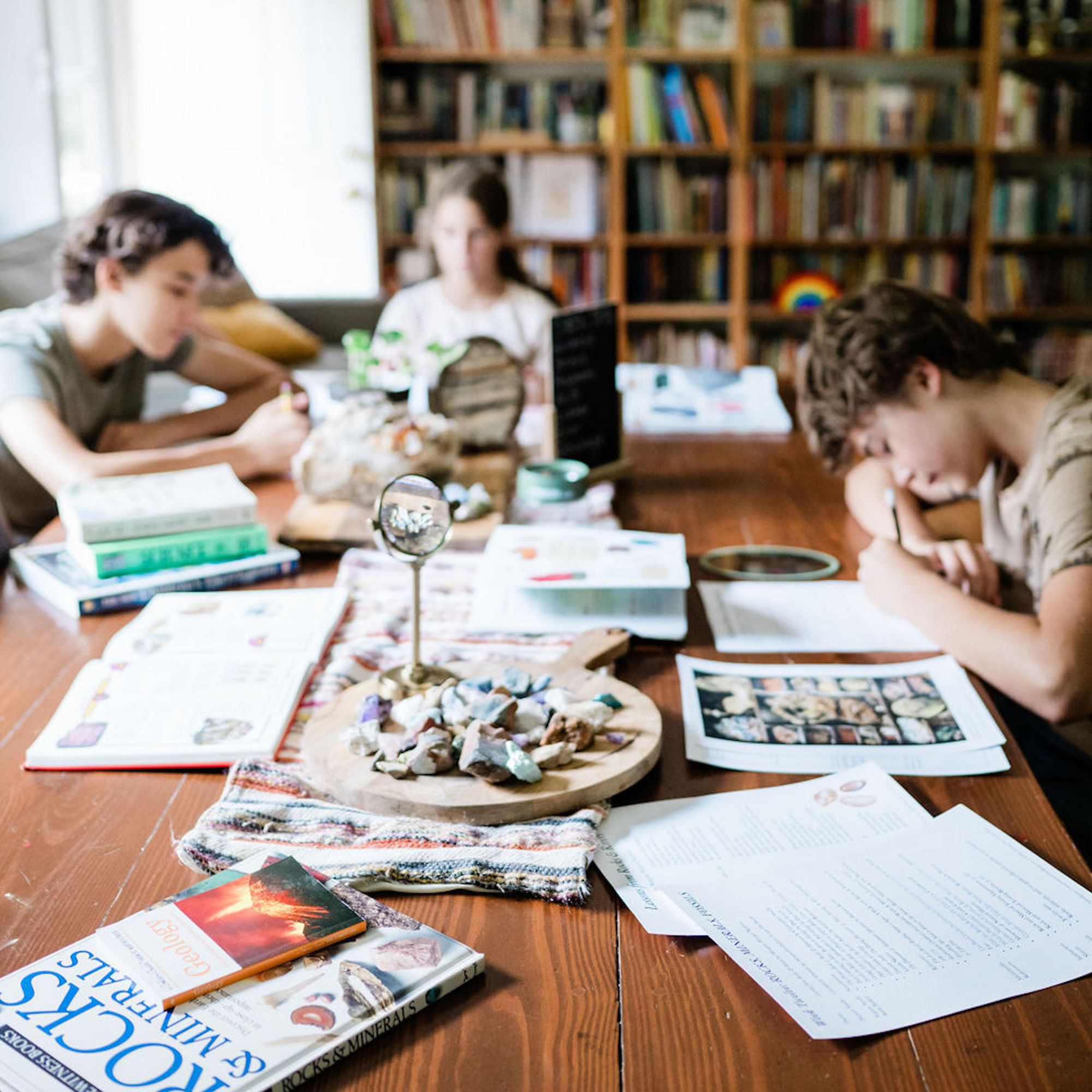 Middle School Science: Ideas for Nature Study with Older Kids
