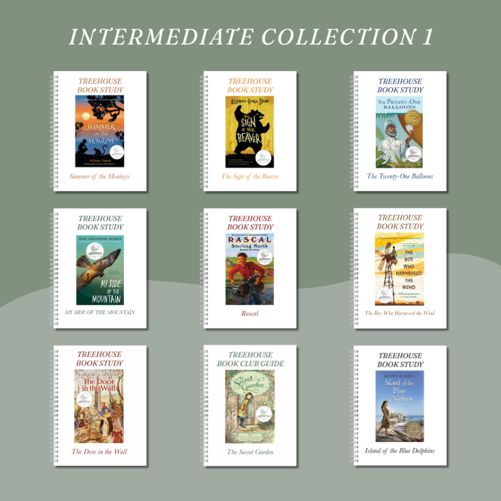 Elementary Book Studies for Kids