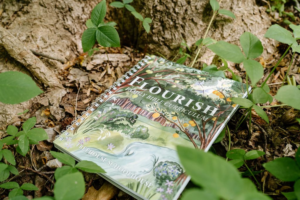 best family bible curriculum kids
