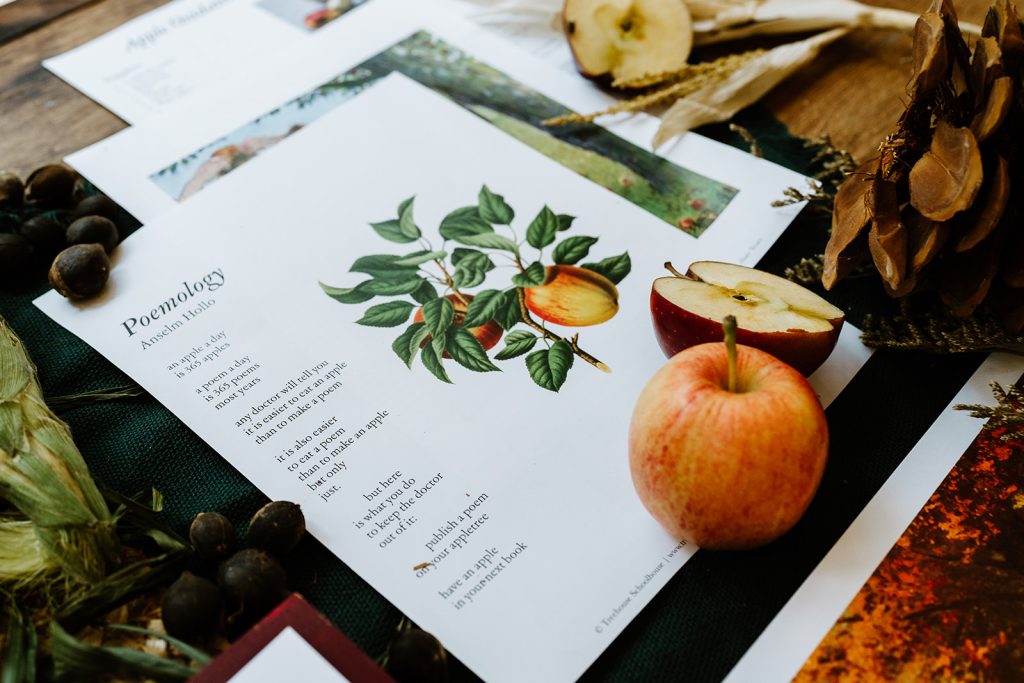 Charlotte Mason apple unit study