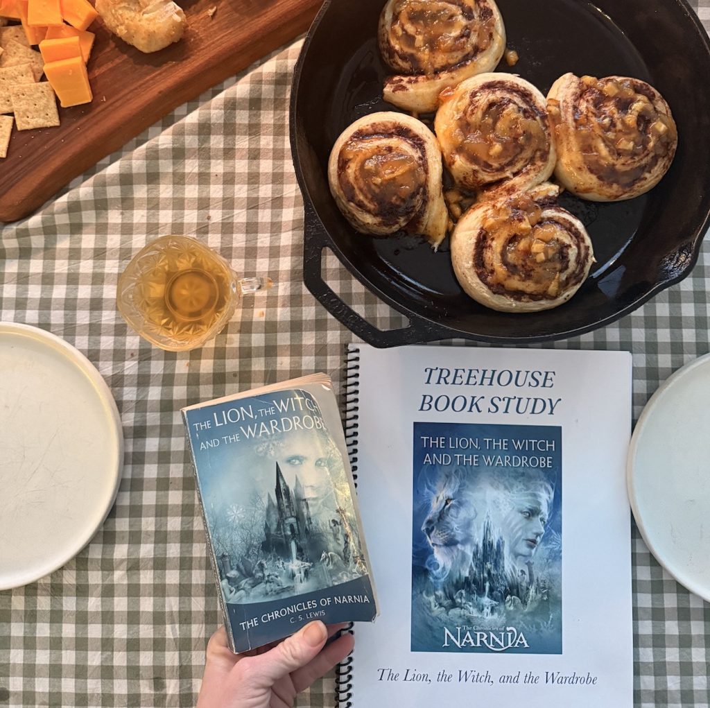 the lion, the witch, and the wardrobe book study ideas activities for elementary kids