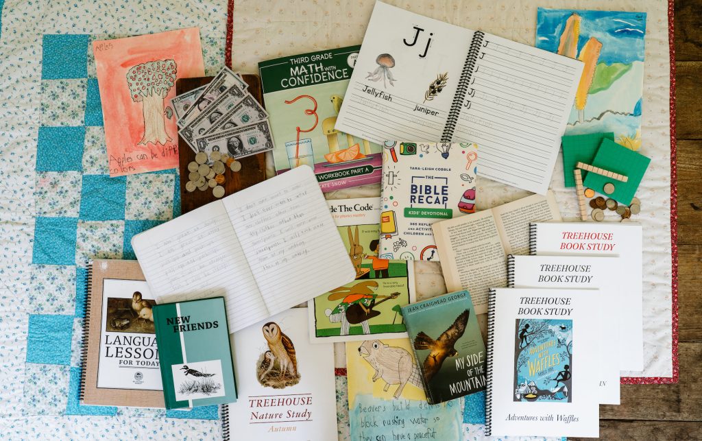 Homeschool curriculum 2026-27