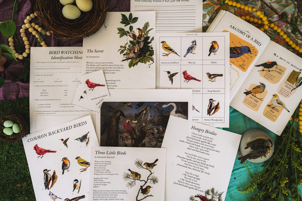 bird watching tips for kids