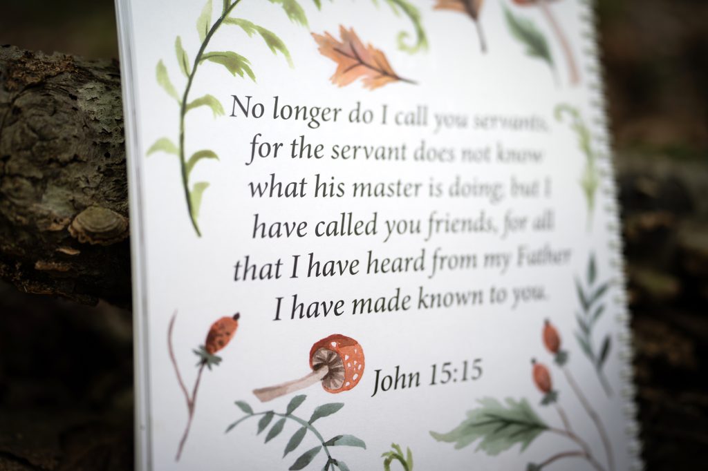 Rooted Family Bible Curriculum