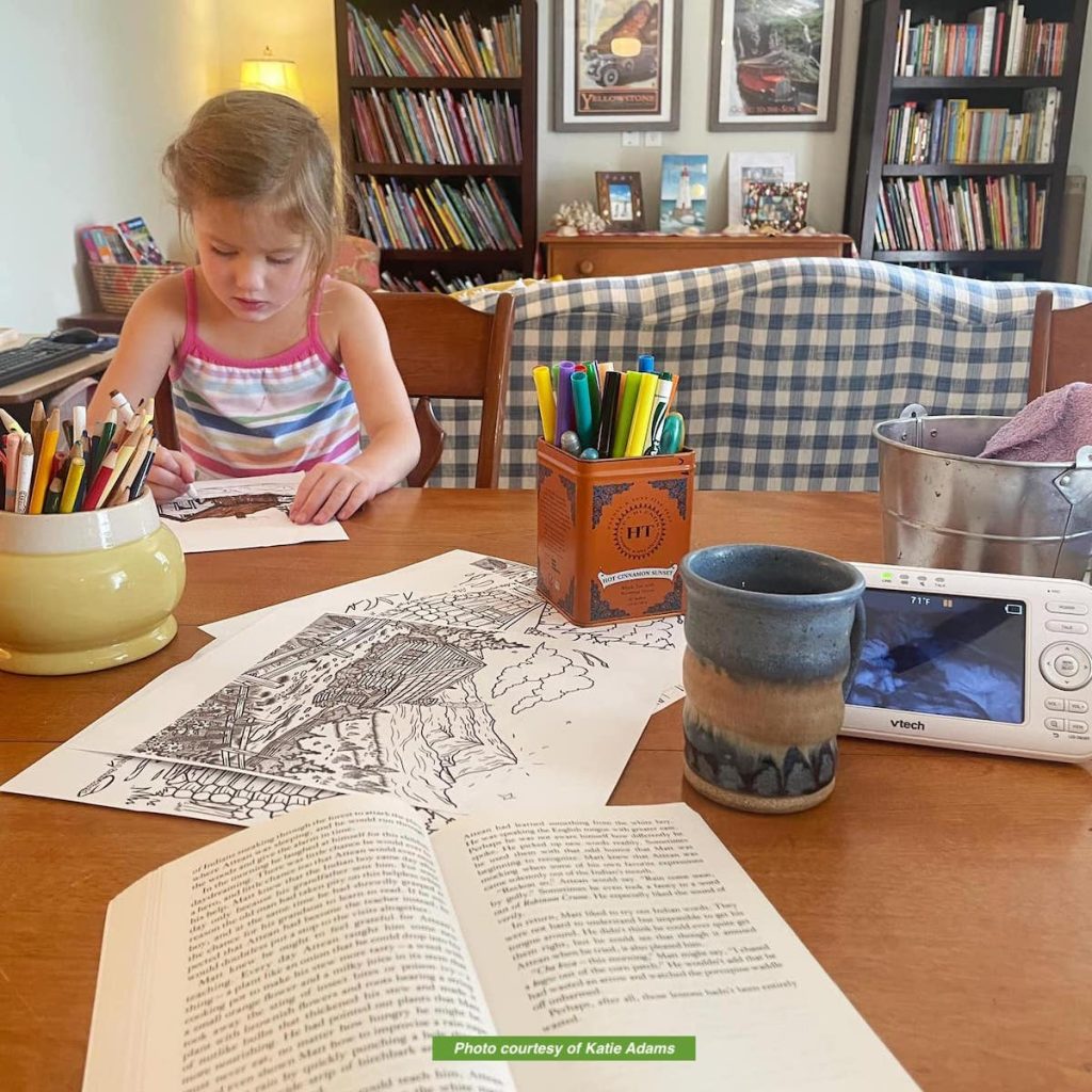 sign of the beaver book activities