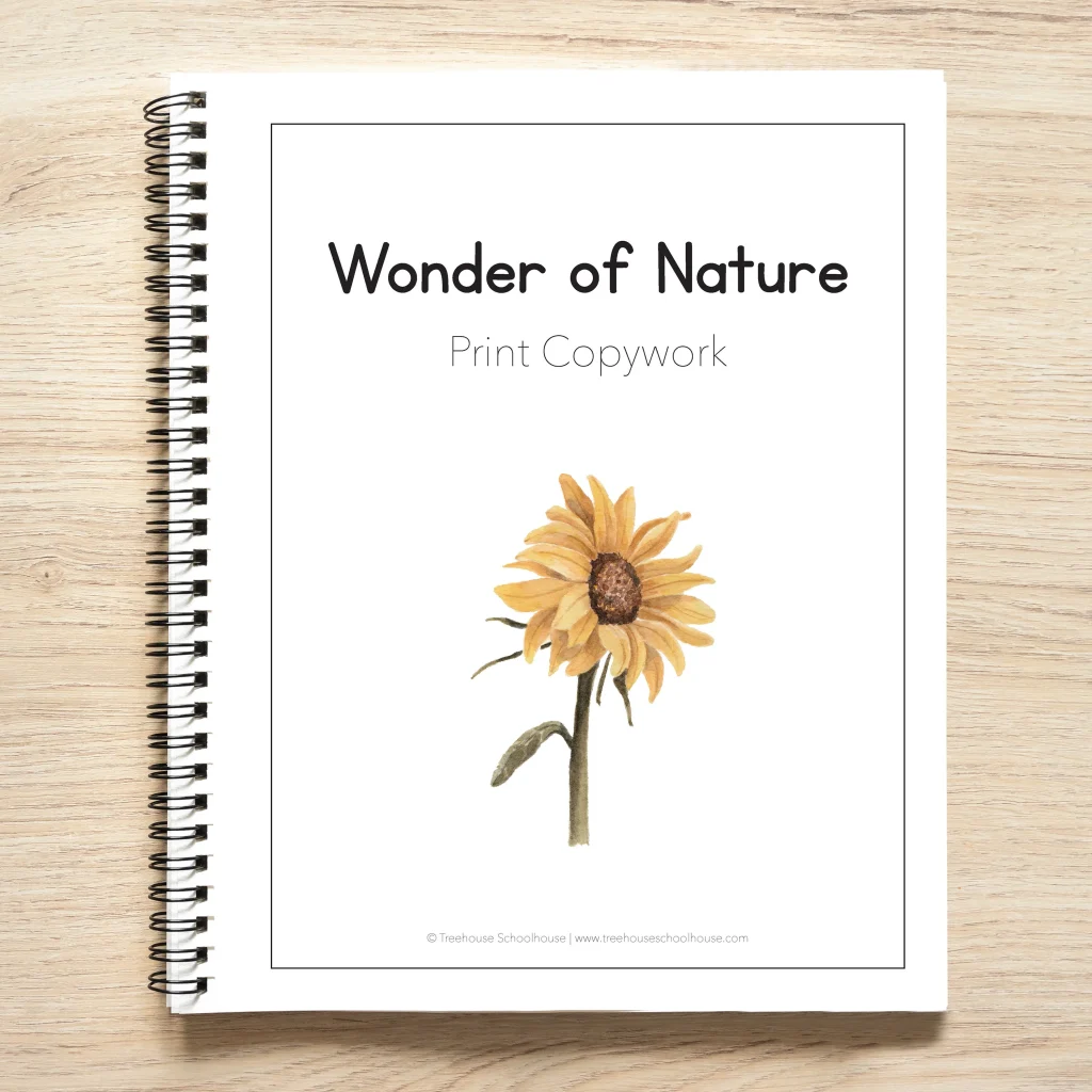 print copywork book for kids