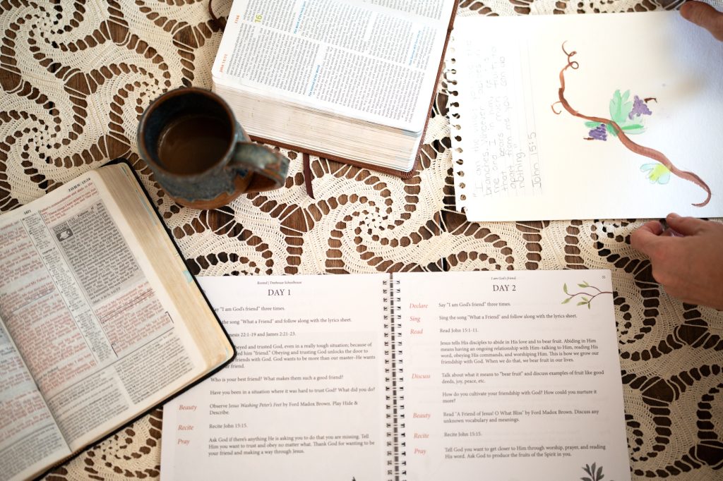 Rooted Family Bible Curriculum