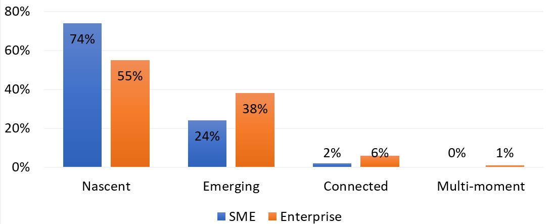 So sánh mức độ trưởng thành MarTech ở doanh nghiệp lớn và SME.