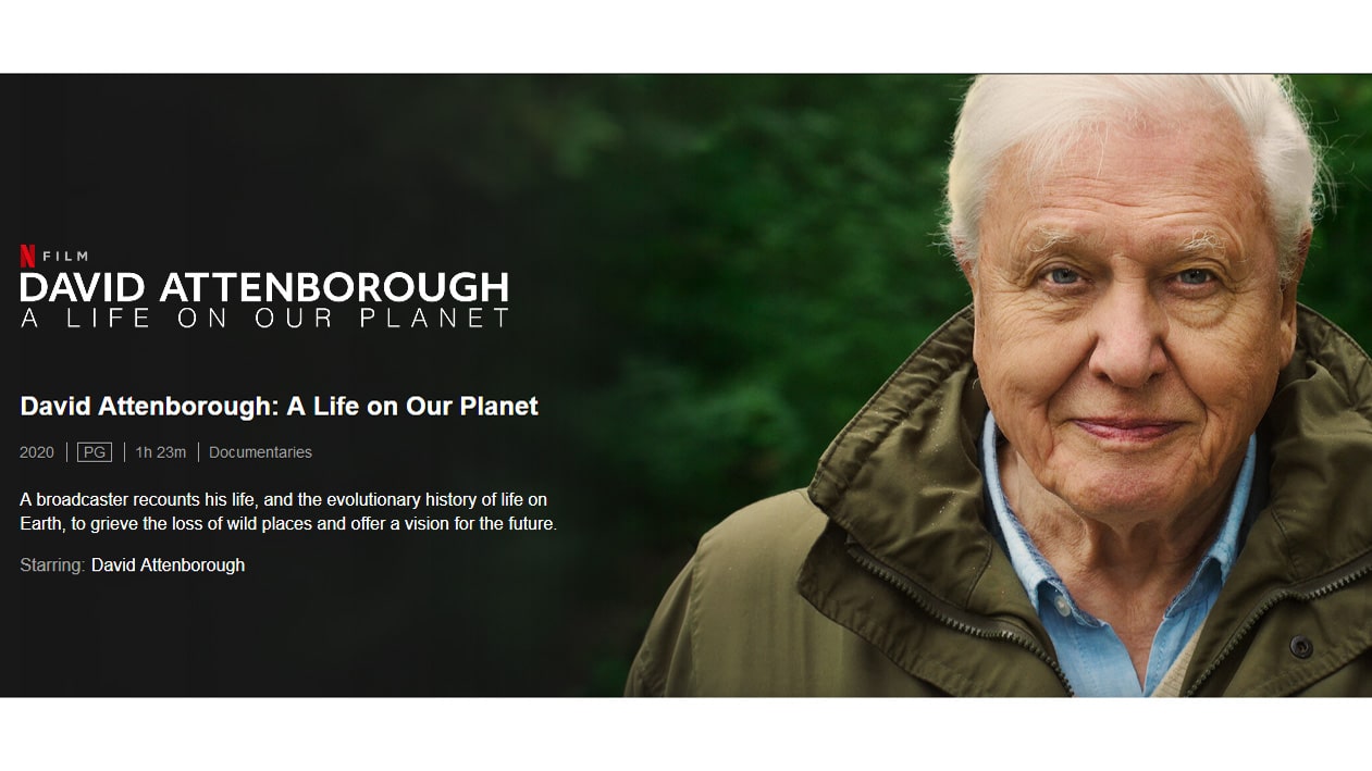 Chương trình “David Attenborough: A Life On Our Planet” mang lại những câu chuyện nhân văn về các sinh vật sống trên Trái Đất (Ảnh: Netflix).