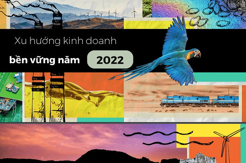 Nhìn lại 10 xu hướng kinh doanh bền vững năm 2022