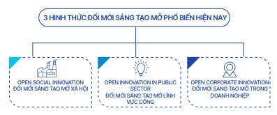 Các hình thức đổi mới sáng tạo mở phổ biến. Các hình thức đổi mới sáng tạo mở phổ biến.