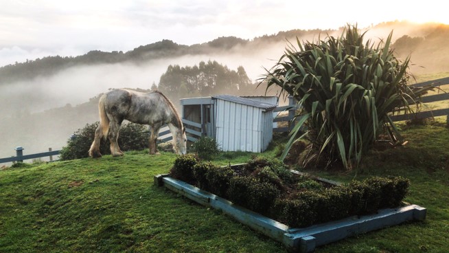 Farmstay - tiềm năng có được khai thác ở Việt Nam?