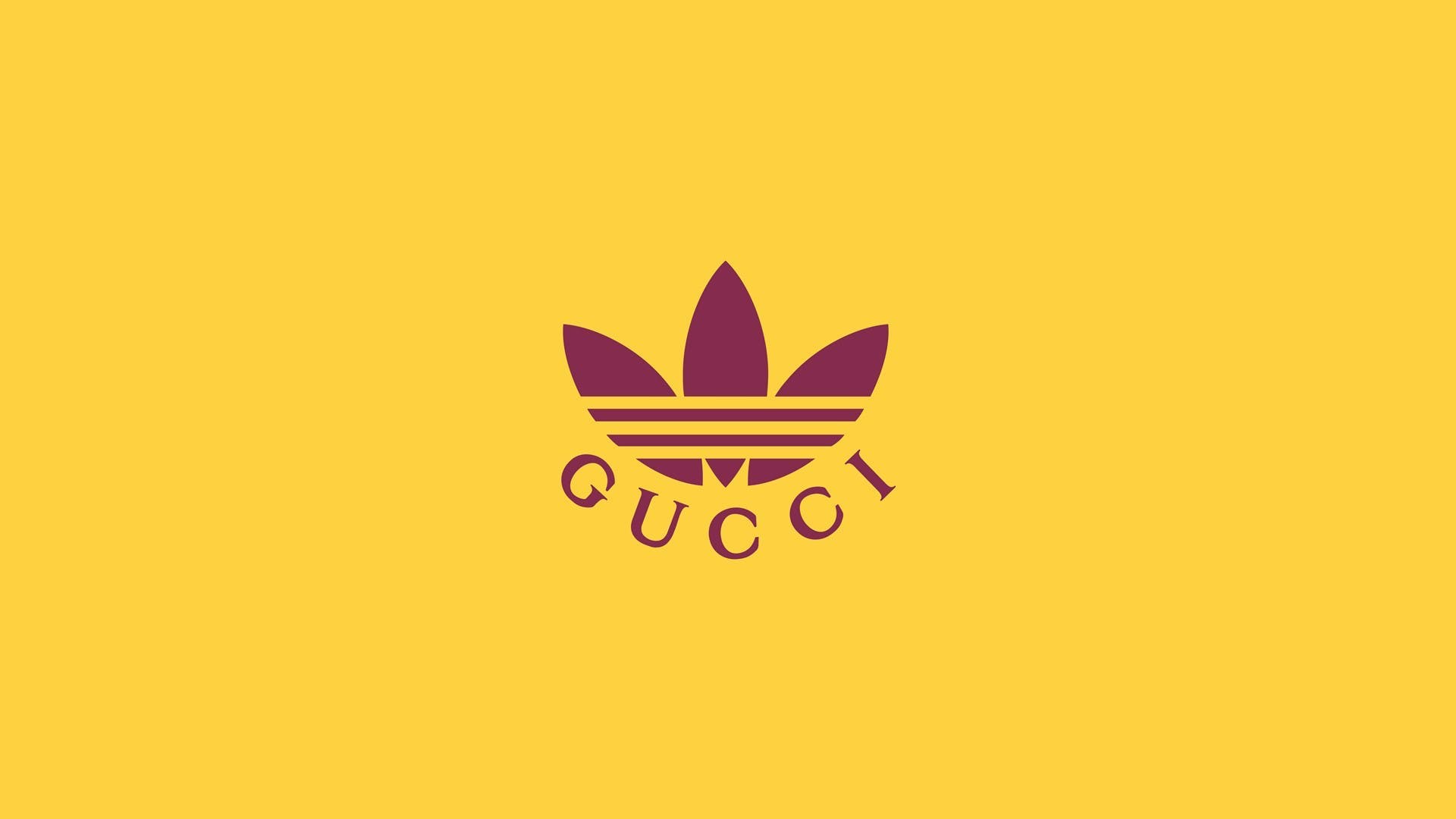 Gucci bắt tay Adidas - Thời trang của những kẻ lập dị