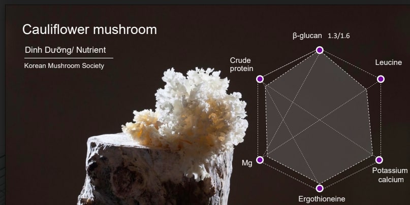 Hàm lượng Beta Glucan trong nấm súp lơ cao nhất trong các loại nấm (Ảnh chụp màn hình).