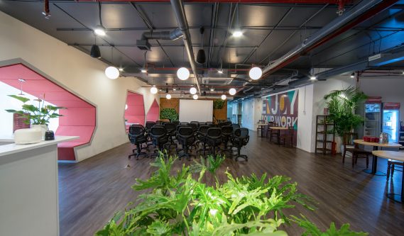 Không gian co-working của Toong có hơi hướng gần gũi với thiên nhiên.