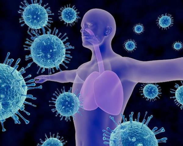 Tăng cường hệ miễn dịch giúp cơ thể chống lại nhiễm trùng (Ảnh: Internet).