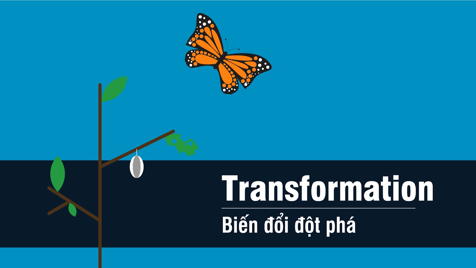 Mô hình biến đổi và lộ trình phát triển năng lực: “DNA" giải pháp đào tạo của Dale Carnegie có lịch sử hơn 100 năm