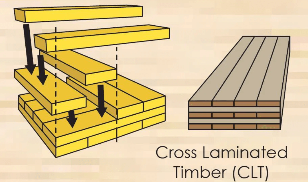 CLT chứa “carbon cô lập” hay carbon được lưu trữ tự nhiên trong gỗ từ quá trình phát triển tự nhiên của cây.