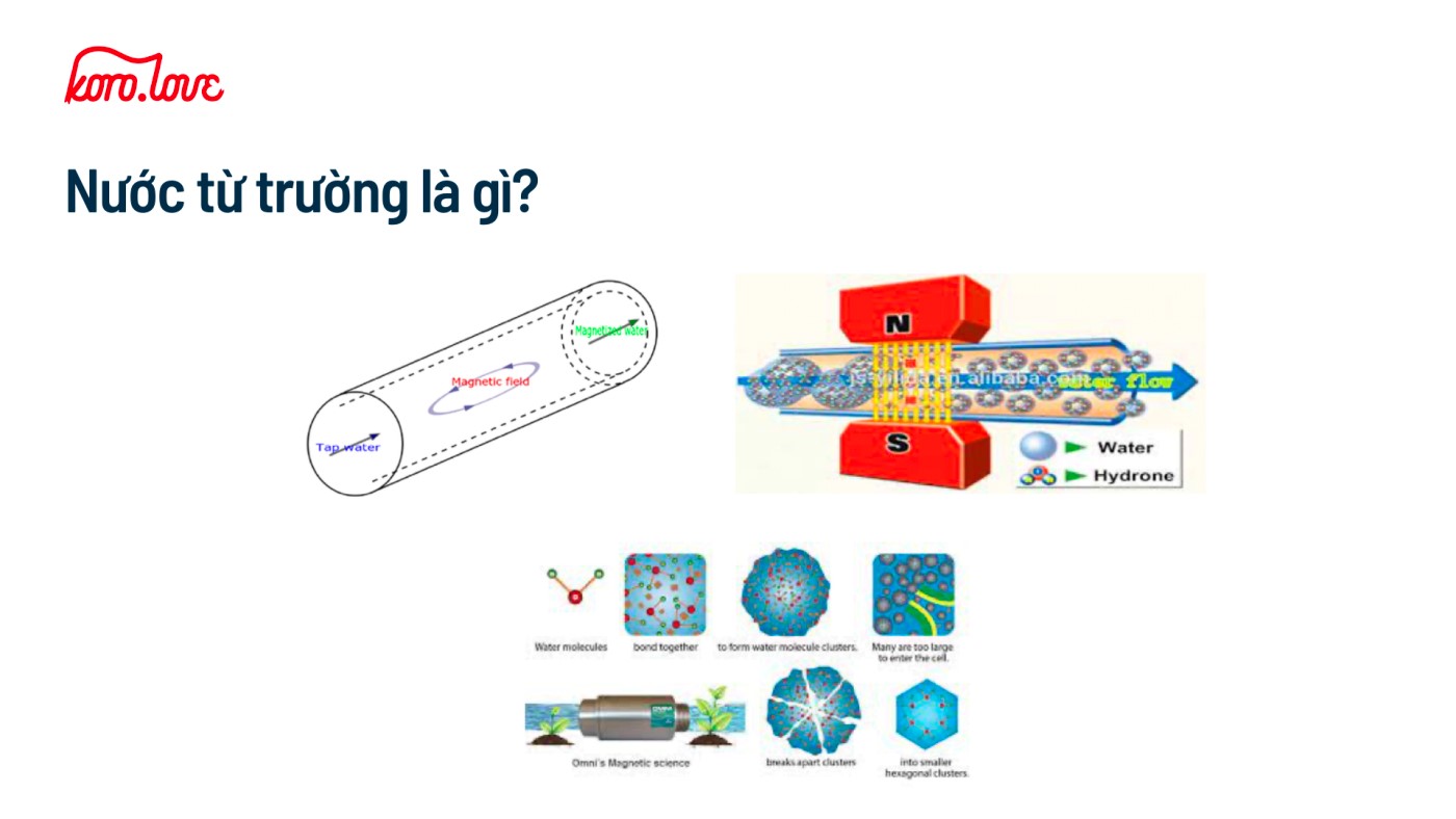 Sơ đồ minh hoạ quá trình tạo ra nước từ trường.