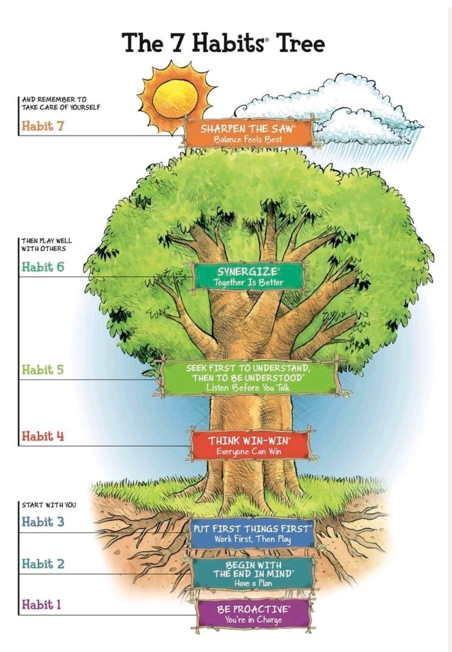 7 thói quen được hệ thống hóa bằng mô hình hình cây (Ảnh: Tiến sĩ Davis Wess).