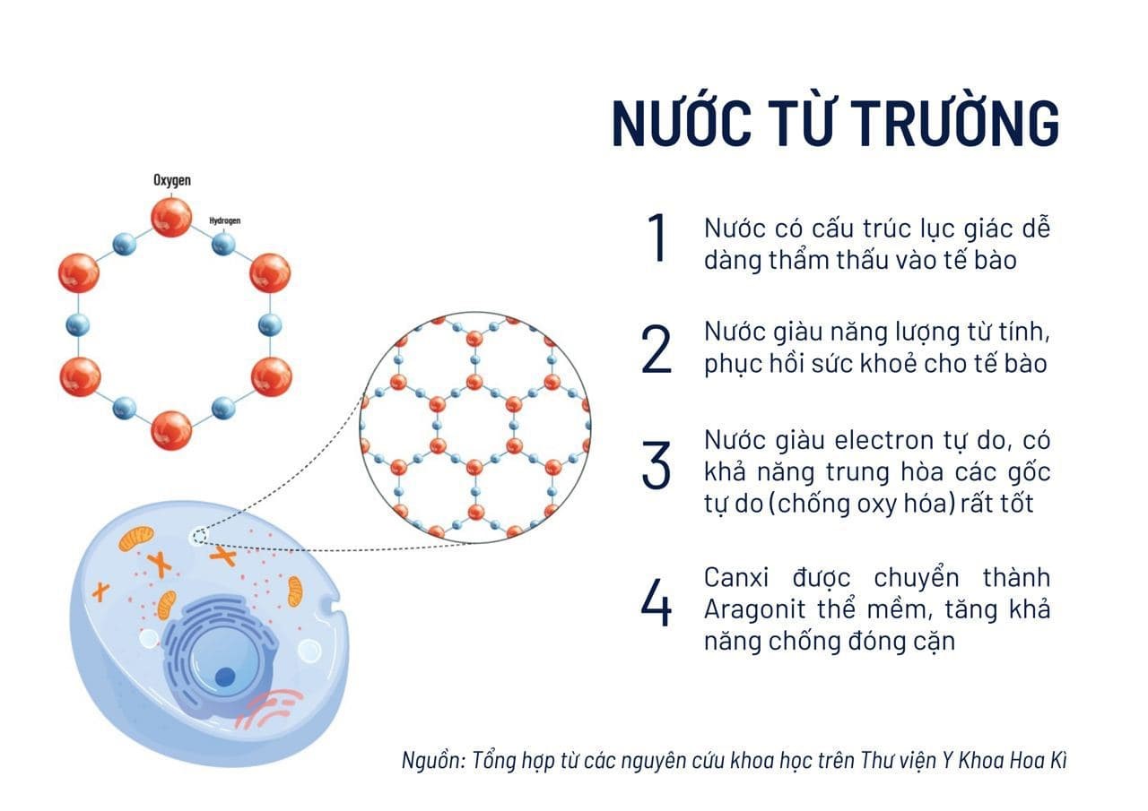 Những đặc tính của nước từ trường.