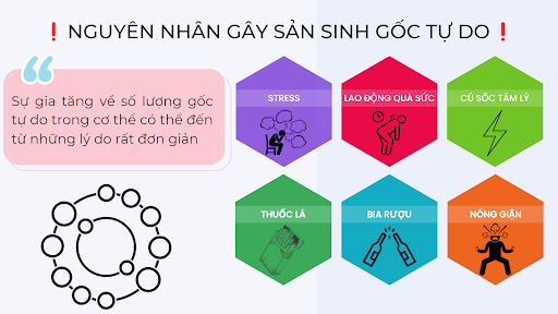 Các nguyên nhân dẫn đến sự gia tăng gốc tự do trong cơ thể.