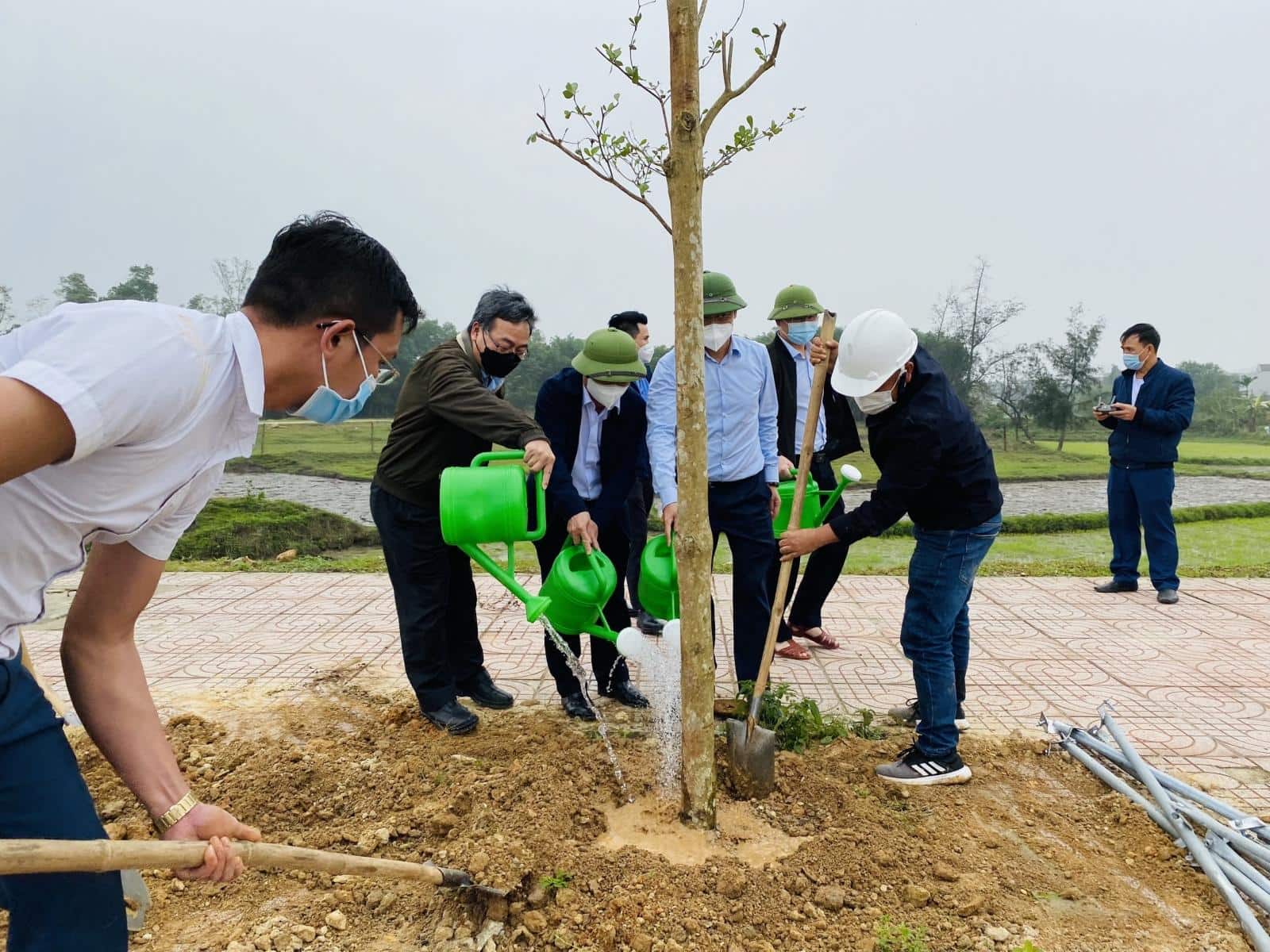 Trong ảnh là giống bàng lá nhỏ, một trong các chủng loại cây ưa khí hậu, thổ nhưỡng khu vực Kỳ Anh.