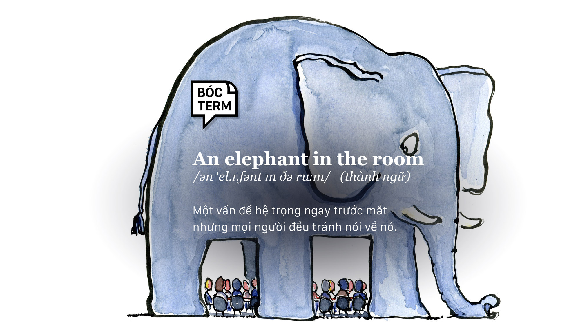 Bóc Term: An elephant in the room là gì? Vì sao bạn chọn 'ngó lơ' chuyện hệ trọng?