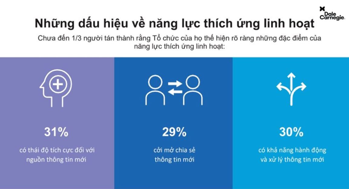 Khảo sát năng lực thích ứng linh hoạt từ Dale Carnegie toàn cầu.