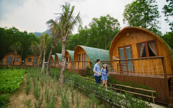 Vì sao nên kinh doanh farmstay tại Việt Nam?