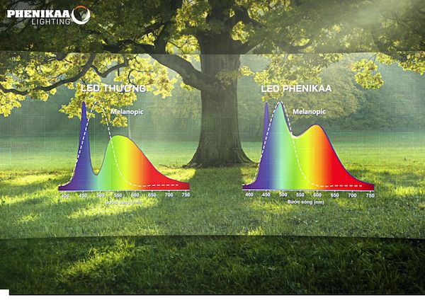 Đèn LED Phenikaa Lighting ứng dụng công nghệ chiếu sáng tự nhiên, vì sức khỏe con người, tái tạo phổ ánh sáng gần nhất với mặt trời tự nhiên, cho chất lượng ánh sáng tốt hơn, tối ưu cho cảm nhận thị giác và phi thị giác.