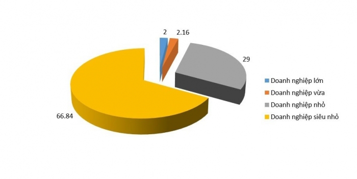 Cơ cấu các doanh nghiệp tại Việt Nam