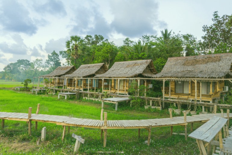 Farmstay sẽ trở thành xu hướng du lịch "hot" trong thời gian tới.