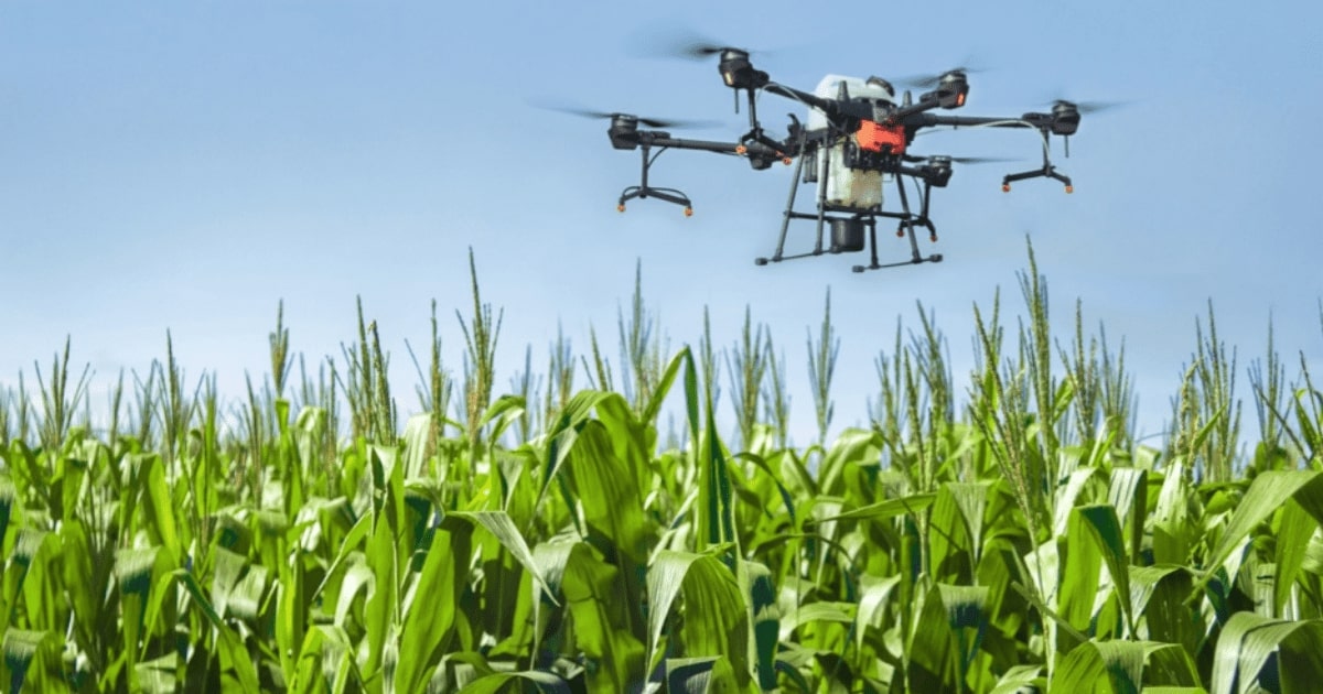 Drone dùng trong hoạt động sản xuất nông nghiệp của Real Time Robotics.