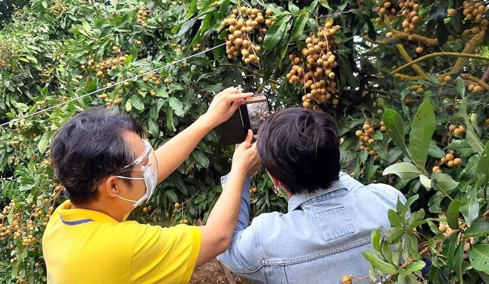 Nhân viên Viettel Post “cầm tay chỉ việc” người nông dân cách rao bán đặc sản trên các sàn thương mại điện tử trước khi livestream hướng dẫn.