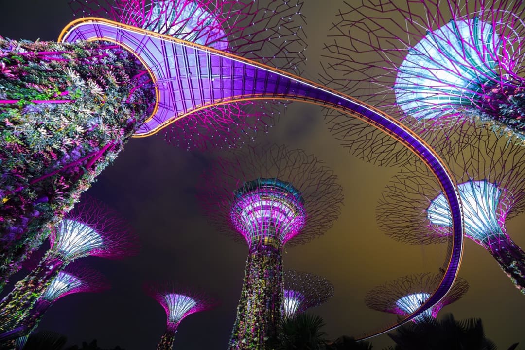 Nằm gần mặt biển của Vịnh Marina ngay giữa trung tâm Singapore, Gardens by the Bay là một thiên đường cho những người yêu thiên nhiên.