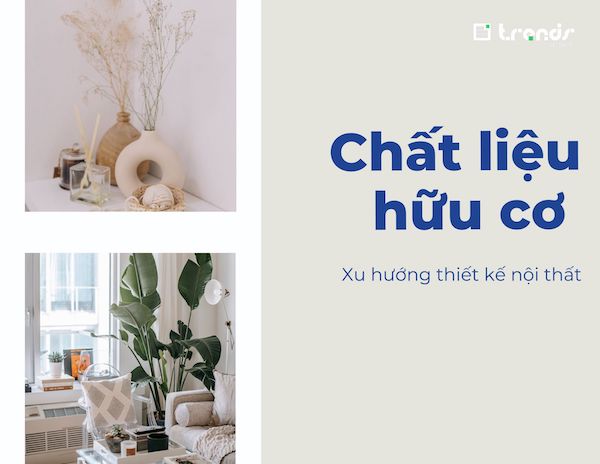 [Trends 2023] Chất liệu hữu cơ trong thiết kế nội thất